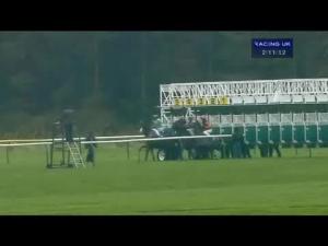 Video preview image for Ayr 14:10 - Giles Insurance/E.B.F. Maiden Stakes