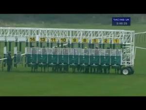 Video preview image for Ayr 17:40 - Giles Insurance Corporate Handicap