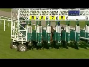Video preview image for York 14:30 - Garbutt & Elliott Conditions Stakes
