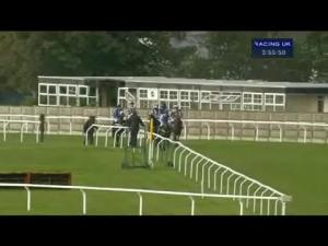 Video preview image for Carlisle 15:55 - Edinburgh Woollen Mill Novices' Hurdle