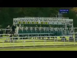 Video preview image for York 16:50 - Download The Free Racing Plus App Median Auction Maiden Stakes