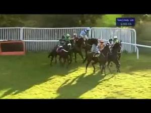 Video preview image for Carlisle 17:00 - Park Gate 'Electric Motors R Us' Novices' Chase