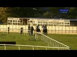 Video preview image for Carlisle 17:30 - Weddings At Carlisle Racecourse Standard Open NH Flat Race