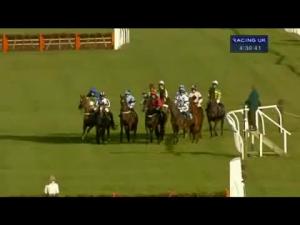 Video preview image for Wetherby 16:30 - Wetherby Racecourse & Conference Centre Novices' Hurdle (Div 2)