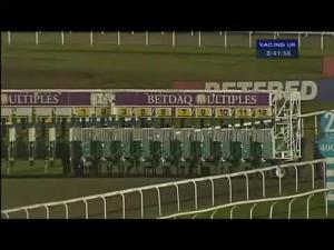 Video preview image for Kempton Park 20:40 - Reindeer Racing Christmas Party At Kempton Median Auction Maiden Stakes