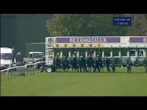 Video preview image for Haydock Park 13:55 - Betfair Chase 24th November Maiden Stakes