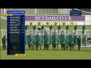 Video preview image for Haydock Park 14:25 - Back Or Lay At betdaq.com Nursery