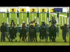 Video preview image for Haydock Park 16:10 - Arnold Clark Jeep Chrysler Nursery