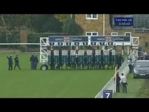 Video preview image for Ascot 15:30 - Queen Elizabeth II Stakes Sponsored By QIPCO (British Champions Mile) (Group 1) (Str)