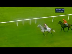 Video preview image for Kempton Park 16:25 - William Hill Hurdle