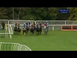 Video preview image for Carlisle 15:25 - Wheatsheaf Inn Egremont Novices' Hurdle
