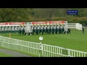 Video preview image for Newbury 14:50 - Christal Maiden Stakes (Str)