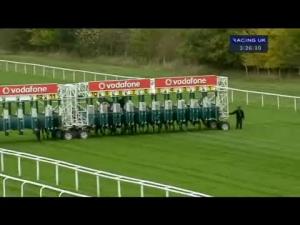 Video preview image for Newbury 15:25 - Sir Gerald Whent Memorial Nursery