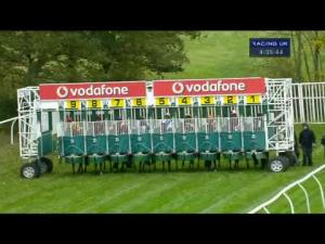 Video preview image for Newbury 16:35 - Collingwood First Class Service Ltd Handicap (Rnd)