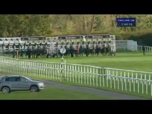 Video preview image for Newbury 13:40 - saxon-gate.com E.B.F. Maiden Fillies' Stakes (Str)