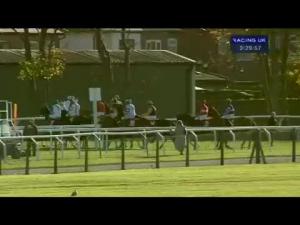 Video preview image for Aintree 15:30 - Betfred Monet's Garden Old Roan Chase (Grade 2 Limited Handicap)