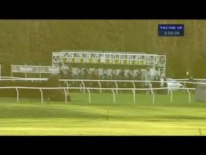 Video preview image for Newbury 16:55 - Festival Racing On Course Bookmakers Lady Jockeys' Handicap (Lady Amateur Riders)