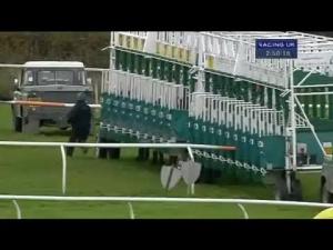 Video preview image for Catterick Bridge 14:50 - Weatherbys Foreign Exchange Handicap