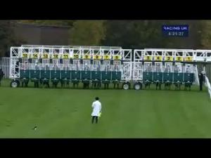 Video preview image for Catterick Bridge 16:20 - Jump Season Next On December 5th Handicap (Div 2)