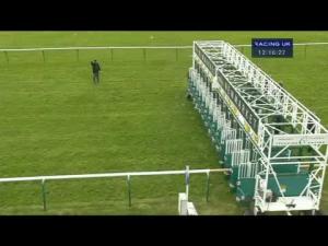 Video preview image for Newmarket 12:15 - Irish Stallion Farms E.B.F. Maiden Fillies' Stakes (Div 1)