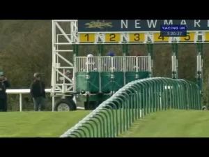 Video preview image for Newmarket 13:20 - Laundry Cottage Stud Farm Zetland Conditions Stakes