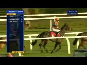 Video preview image for Kempton Park 15:10 - Weatherbys Hamilton Insurance Graduation Chase