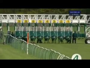 Video preview image for Nottingham 13:10 - Direct Waste Removal and Management Nursery