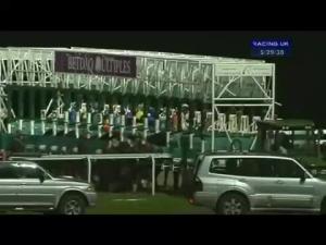 Video preview image for Kempton Park 17:25 - British Stallion Studs Supporting British Racing E.B.F. Maiden Stakes (Div 1)