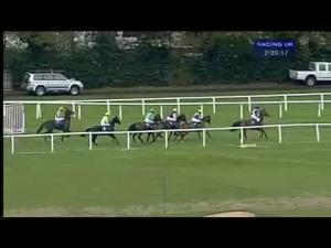 Video preview image for Sandown Park 14:25 - Mobile Betting At bluesq.com Handicap Chase