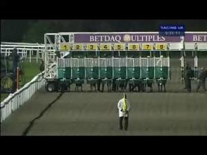 Video preview image for Kempton Park 17:30 - British Stallion Studs Supporting British Racing E.B.F. Maiden Stakes (Div 2)