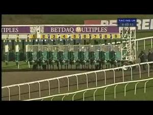 Video preview image for Kempton Park 18:00 - Betdaq Casino Games Wild Flower Stakes (Listed)