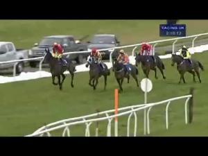 Video preview image for Wincanton 14:10 - Weatherbys Hamilton Insurance Silver Buck Handicap Chase