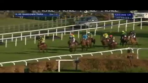 Video preview image for Sandown Park 12:40 - Toll House Juvenile Hurdle