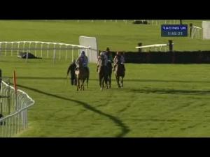 Video preview image for Sandown Park 13:45 - Neptune Investment Management Novices' Hurdle (Registered As The Winter Novices' Hurdle) (Grade 2)