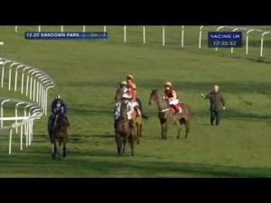 Video preview image for Sandown Park 12:20 - John Oakley 50th Birthday 'National Hunt' Novices' Hurdle