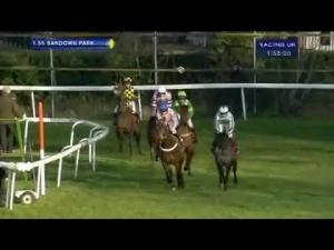 Video preview image for Sandown Park 13:55 - Markel Insurance Henry VIII Novices' Chase (Grade 1)
