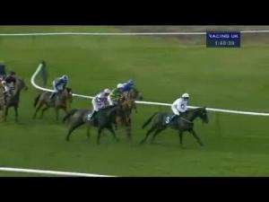 Video preview image for Warwick 13:40 - Betfred 'The Bonus King' Handicap Chase (The Jockey Club Grassroots Jumps Series Qualifier)