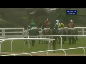 Video preview image for Ludlow 12:40 - Tanners Claret Juvenile Selling Hurdle