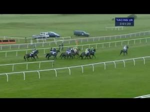 Video preview image for Newbury 15:00 - British Stallion Studs E.B.F. 'National Hunt' Novices' Hurdle (Qualifier)
