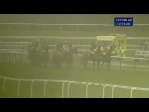 Video preview image for Haydock Park 12:10 - Enough Said Just Bet At bluesq.com Handicap Hurdle