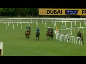 Video preview image for Newbury 13:35 - Betfred 'The Bonus King' Novices' Chase (For The Hallowe'En Trophy)