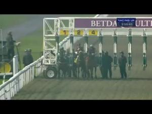 Video preview image for Kempton Park 15:50 - Back Or Lay At betdaq.com Handicap