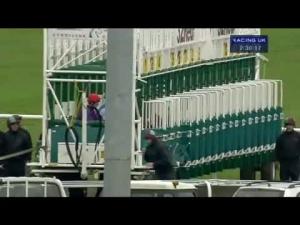 Video preview image for Kempton Park 14:30 - 32red.com Handicap (London Mile Qualifier)