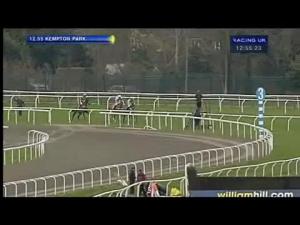 Video preview image for Kempton Park 12:55 - williamhill.com Novices' Chase