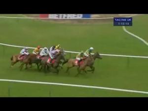 Video preview image for Warwick 13:15 - Betfred 'The Bonus King' Handicap Chase (For The Edward Courage Cup)