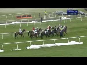 Video preview image for Newbury 13:55 - Betfred 'The Bonus King' Novices' Hurdle