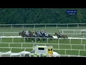 Video preview image for Newbury 15:30 - Betfred Hat Trick Heaven 'Junior' Standard Open NH Flat Race