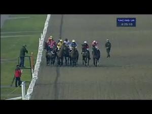 Video preview image for Kempton Park 16:25 - Follow Us On Twitter At Betvictorracing 'Jumpers' Bumper' NH Flat Race (Div 2)