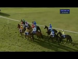 Video preview image for Ludlow 14:10 - Dinham Novices' Chase
