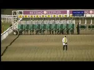 Video preview image for Kempton Park 19:20 - Yeongcheon City Racing Handicap
